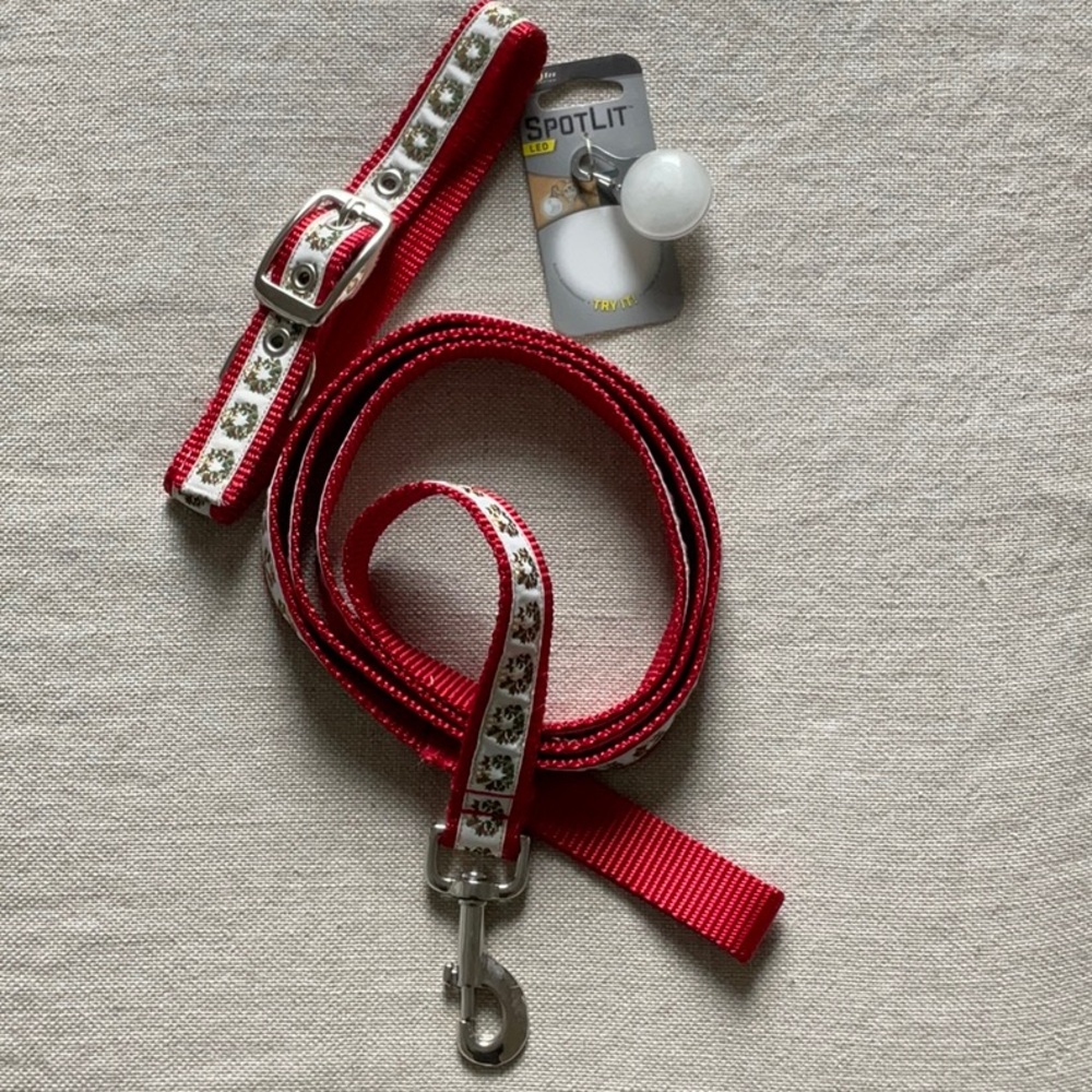 Dog Collar and Leash